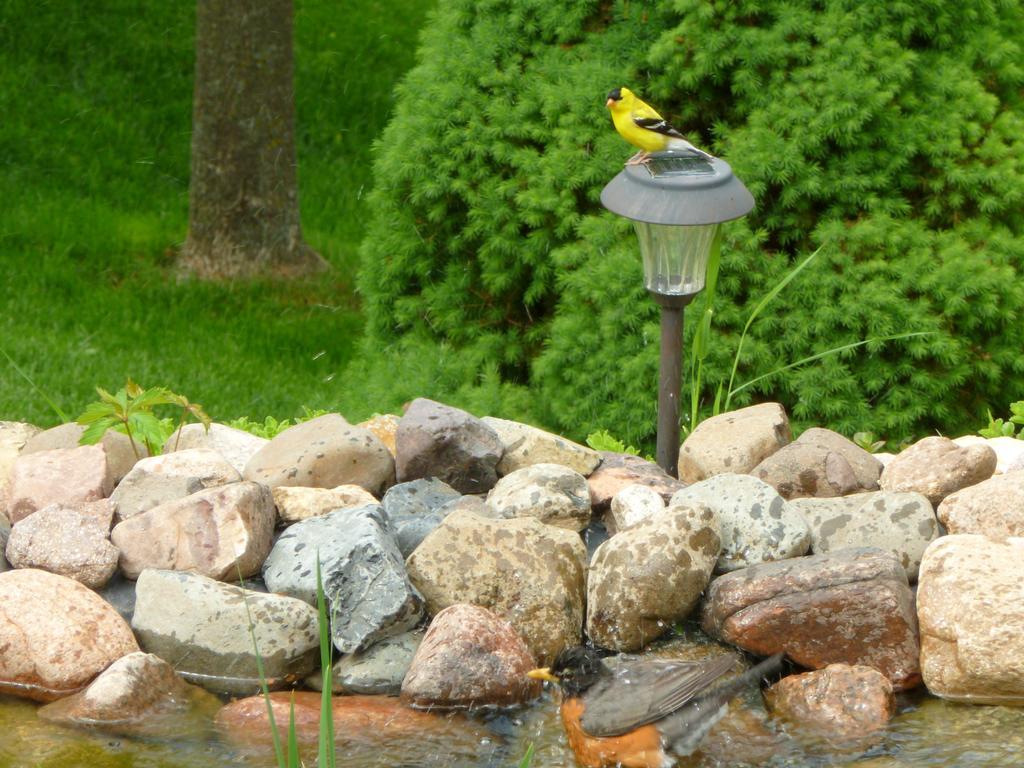Trickling Waters Retreat Villa Marquette Kültér fotó
