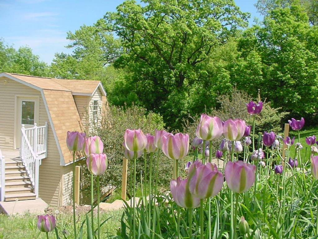 Trickling Waters Retreat Villa Marquette Kültér fotó